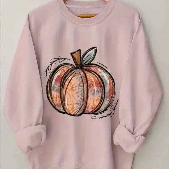 Pink Pumpkin Sweatshirt - perfect for fall! NIB - Picture 4 of 8